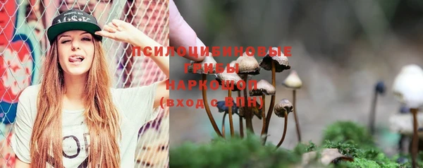 амфетамин Новодвинск